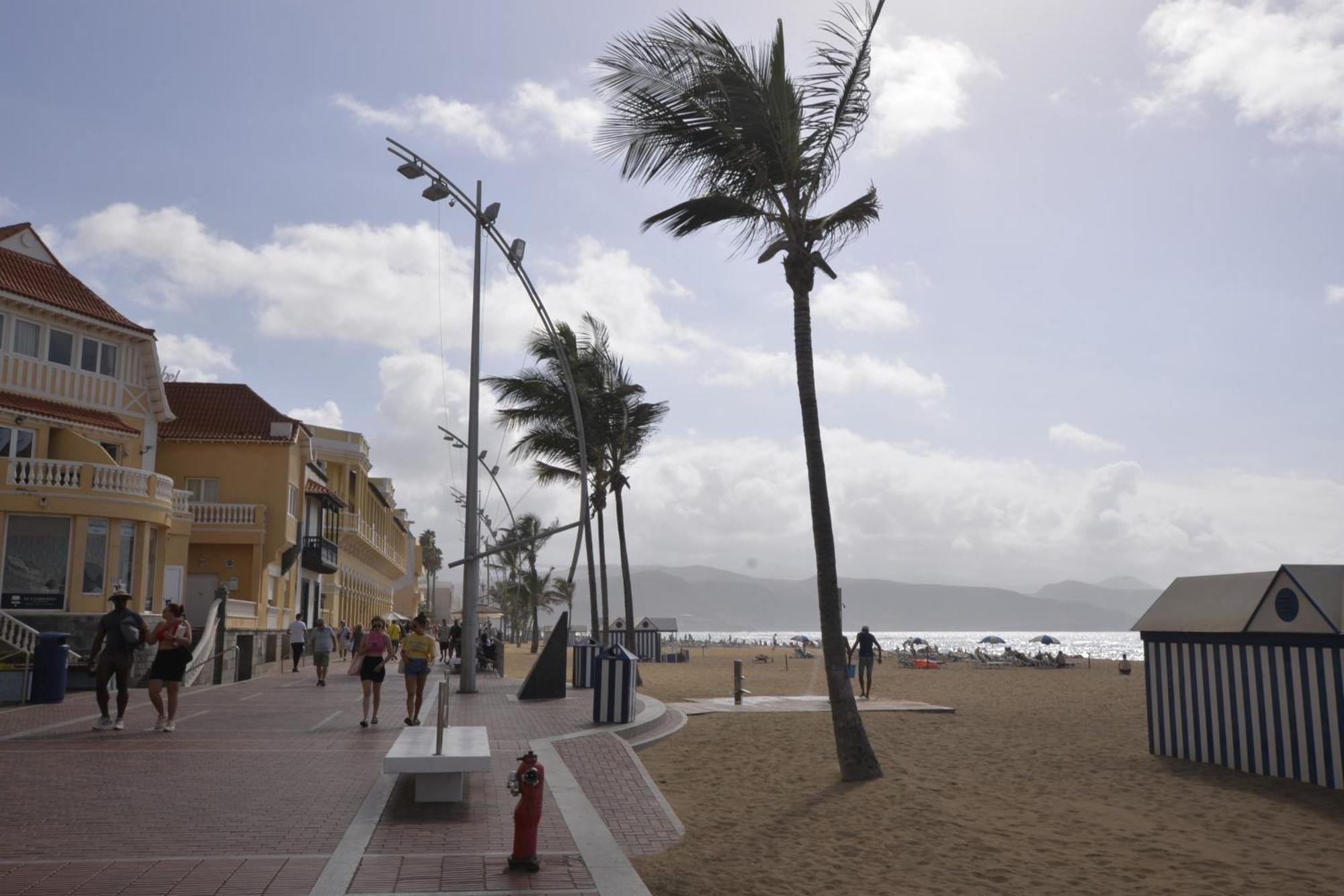 Apartamento Maralma Las Palmas de Gran Canaria Exteriér fotografie